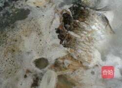 鲫鱼萝卜汤的做法图解8