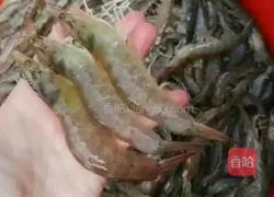 制作虾干全过程的做法图解1