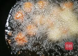 酥炸藕丸的做法图解8