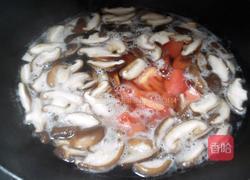 香菇汤的做法图解6