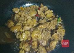 红烧鸡肉的做法图解7