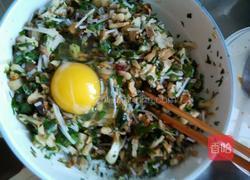马蹄叶香菇粉丝油渣饺子的做法图解5