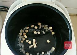 木瓜莲子羹的做法图解4