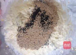 海盐咸酥芝麻饼的做法图解2