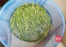 小麦草鲜肉饼的做法图解3