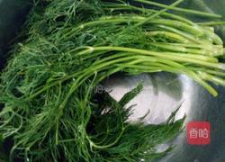 茴香瘦肉汤的做法图解1