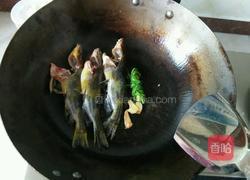 宝宝食品 黄辣丁豆腐汤的做法图解2