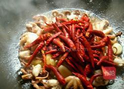 干煸八爪鱼的做法图解12