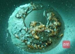 糖醋鱼的做法图解8