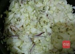 包菜炒鸡胸肉的做法图解3