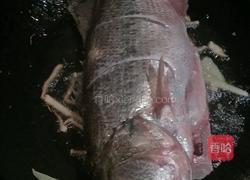 红烧鲈鱼的做法图解3