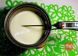 薑汁撞奶的做法图解4