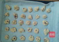 蔓越莓点心的做法图解24