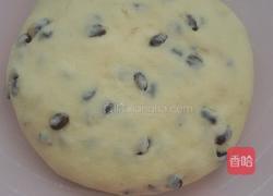 蜜豆司康的做法图解13