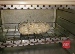 哈康面包（坚果黄心红薯软欧）的做法图解6
