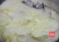 砂锅天麻炖胖🐠头的做法图解3