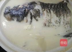 砂锅天麻炖胖🐠头的做法图解4