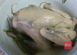 清蒸童子鸡的做法图解9