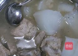 排骨萝卜汤的做法图解7