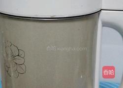 木瓜香梨奶昔的做法图解3