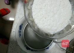 雪莲菌酸奶的做法图解4