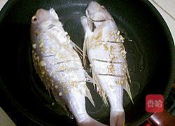 香煎金线鱼的做法图解4