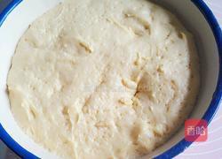 南瓜黄金餐包的做法图解6