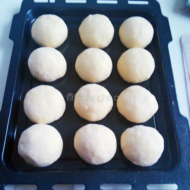 十五分钟排气后放入烤盘