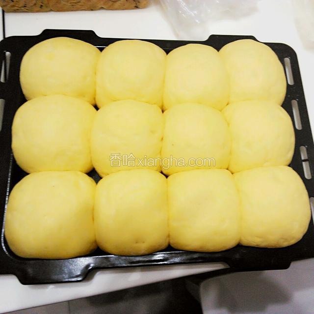 进行三发。冬天借助烤箱发酵功能，烤箱里38-40度放入一碗热水增加湿度。