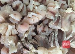 野生甲鱼炖鞕花的做法图解5