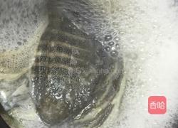 野生甲鱼炖鞕花的做法图解6