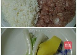 红烧狮子头的做法图解2