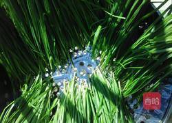 家常饺子的做法图解2