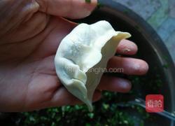 家常饺子的做法图解8