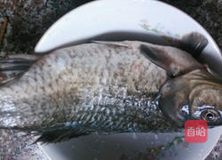 鸡蛋鲫鱼汤的做法图解1