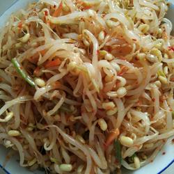 凉拌绿豆芽的做法[图]