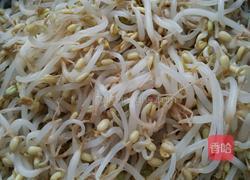 凉拌绿豆芽的做法图解2