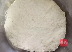 巧克力炼乳吐司(中种)的做法图解1