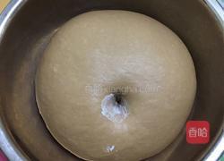 巧克力炼乳吐司（中种）的做法图解6