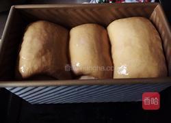 巧克力炼乳吐司(中种)的做法图解13
