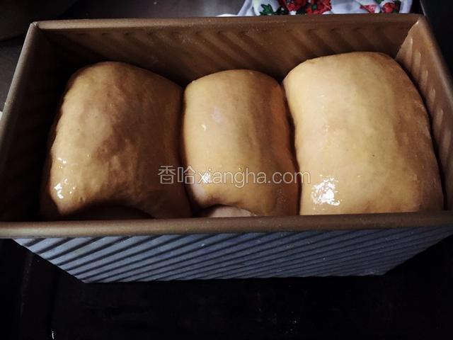入烤箱，并放一碗热水，调至发酵档，上下管38度，发酵40分钟左右，发酵至8分满刷蛋液；