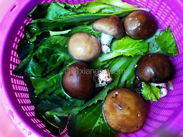 小白菜和香菇冲洗干净，去除沙土，用盐水或淘米水浸泡一会，去除残留农药等。