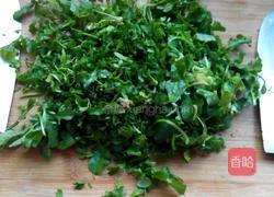 荠菜珍珠丸子。的做法图解3