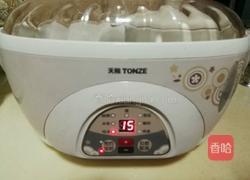 鱼胶炖牛奶甜品的做法图解4