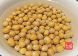 水培豌豆苗的做法图解1