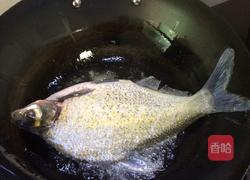 红烧鳊鱼的做法图解5