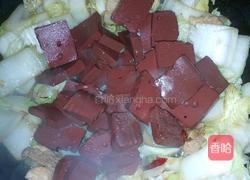 香辣白菜炖猪血的做法图解7