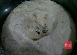 五香芝麻烧饼的做法图解3