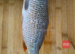 香煎鲤鱼汤的做法图解1