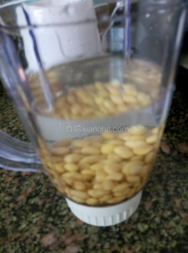 往搅拌杯里加黄豆和适量的水，按下开关搅拌